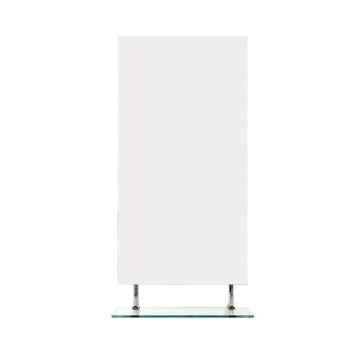 Badkamerspiegel Sapho Wega 50×80 cm met Planchet Glas