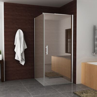BWS Nisdeur Eco Inclusief Muurprofiel 100×195 cm 6 mm Aluminium