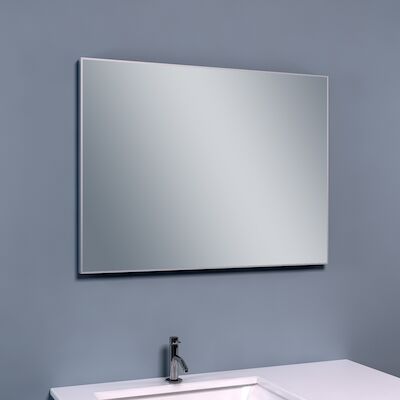 BWS Spiegel Tigris 120×60 cm Aluminium