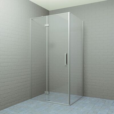 Douchecabine BWS P&C Design 100×80/90 cm RVS Look