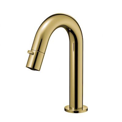 Fonteinkraan Hotbath Dude 1-knop gebogen 19.3 cm Rond Gepolijst Messing Living Colours