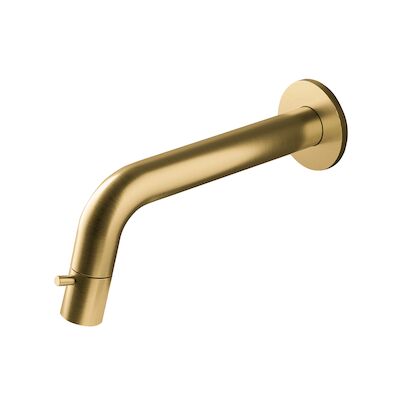 Fonteinkraan Inbouw Hotbath Dude 1-knop gebogen 18.6 cm Inkortbaar Geborsteld Messing Living Colours