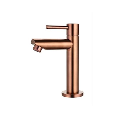 Fonteinkraan Sanilux 15,5×8,8 cm Brons Geborsteld