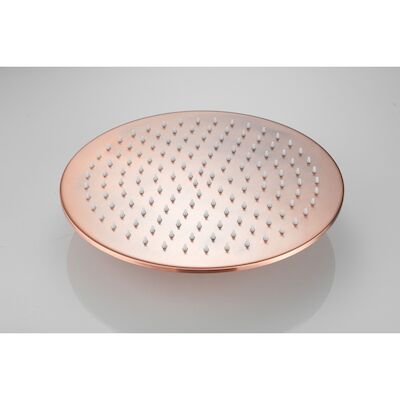 Hoofddouche BWS Vision Rond 30 cm Geborsteld Koper
