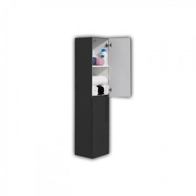 Kolomkast BWS London 35x30x160 cm Antraciet