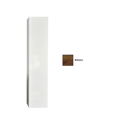 Kolomkast Sanicare 1 Soft-Closing Deur Greeploos 160×33,5×32 cm Belluno