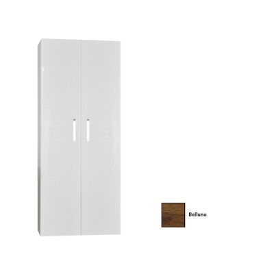 Kolomkast Sanicare Q1/Q12/Q17 2-Deurs Soft-Closing Chromen Greep 160x67x32 cm Belluno