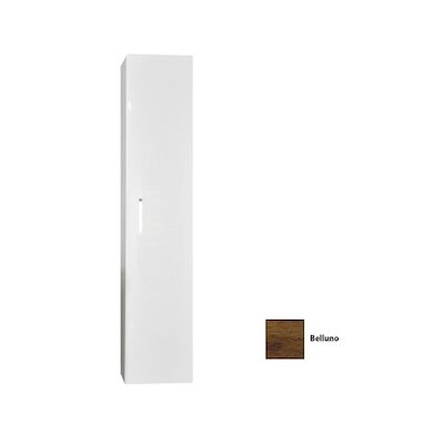 Kolomkast Sanicare Q1/Q12/Q17 Soft-Close Deur 160×33,5×32 cm Belluno