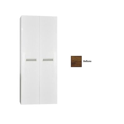 Kolomkast Sanicare Q2/Q3/Q8 2-Deurs Soft-Closing 160x67x32 cm Belluno