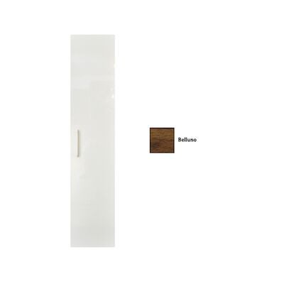 Kolomkast Sanicare Q4/Q15 1 Soft-Closing Deur 160×33,5×32 cm Belluno