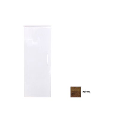 Kolomkast Sanicare Q4/Q15 1 Soft-Closing Deur 90×33,5×32 cm Belluno