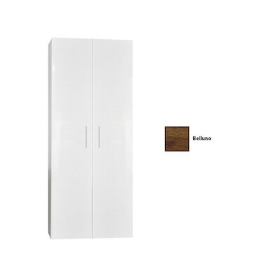Kolomkast Sanicare Q4/Q15 2-Deurs Soft-Closing 160x67x32 cm Belluno