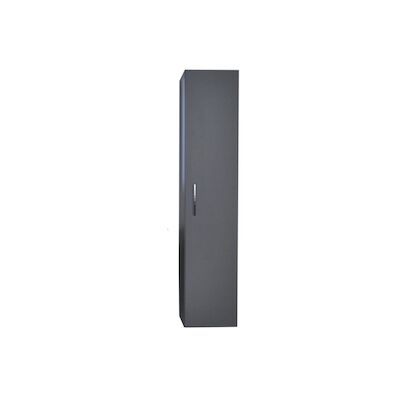 Kolomkast Sanicare Q6/Q14/Q16 1 Soft-Closing Deur 160×33,5×32 cm Antraciet