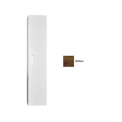 Kolomkast Sanicare Q6/Q14/Q16 1 Soft-Closing Deur 160×33,5×32 cm Belluno