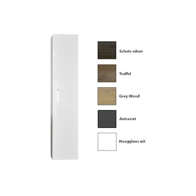 Kolomkast Sanicare Q6/Q14/Q16 1 Soft-Closing Deur 160×33,5×32 cm Truffel