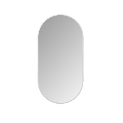 LED-Spiegel Ovaal BWS Colorato Met Verwarming 100×50 cm RVS