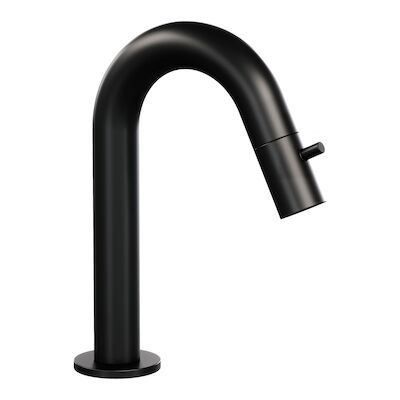Opbouw Fonteinkraan Brauer Black Edition Met Gebogen Uitloop Mat Zwart