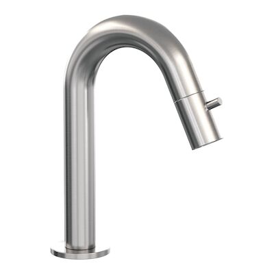 Opbouw Fonteinkraan Brauer Brushed Edition Met Gebogen Uitloop RVS Geborsteld PVD