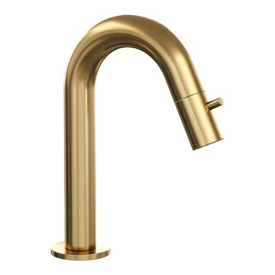 Opbouw Fonteinkraan Brauer Gold Edition Met Gebogen Uitloop Goud Geborsteld PVD