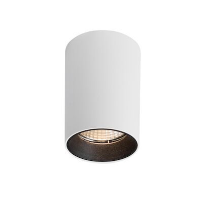 Opbouwspot BWS Delilah 7.2×11 cm Dim to Warm Wit
