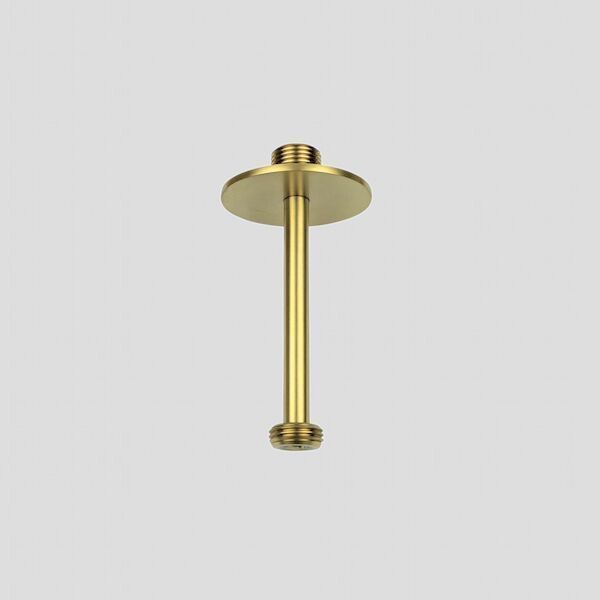 Plafondbuis Lagoo Nesso 10 cm RVS Geborsteld Goud