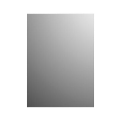 Spiegel Basic Plieger Rechthoekig 4mm 90x45cm Zilver