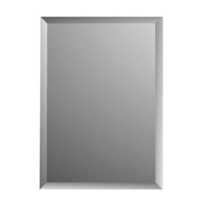 Spiegel Charleston Plieger Rechthoekig 4mm Met Facetrand 90x45cm Zilver