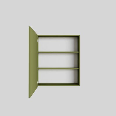 Spiegelkast BWS Cube 60x70x16 cm 1 Deur Groen