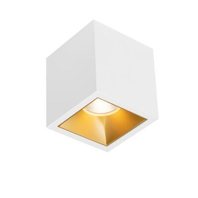 Spot BWS Daniel Aluminium 745Lm 9,2W Wit Met Gouden Anti-Glare Ring