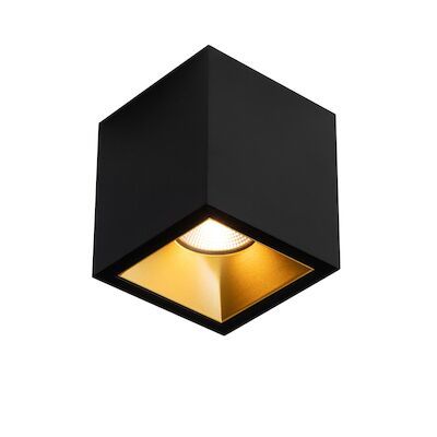 Spot BWS Daniel Aluminium 745Lm 9,2W Zwart Met Gouden Anti-Glare Ring