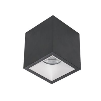 Spot BWS Daniel Aluminium 745Lm 9,2W Zwart Met Witte Anti-Glare Ring
