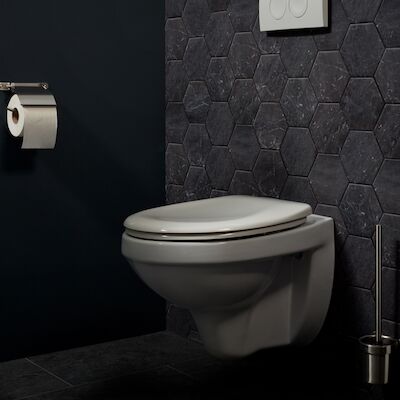 Toiletborstel Haceka Ixi 38×10 cm RVS
