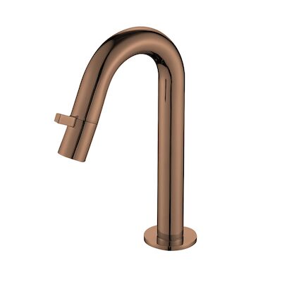 Toiletkraan Best Design Dijon 1-draaiknop Gebogen 21 cm PVD Glans Brons