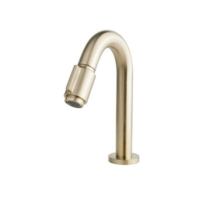 Toiletkraan Wiesbaden Victoria Luxe 1/2'' Geborsteld Messing Goud
