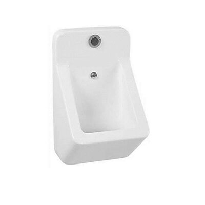 Urinoir BWS Toon 35,7×64 cm Met Sensor Wit