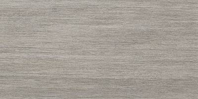 Vloertegel Casalgrande Padana Metalwood 60x30cm Argento