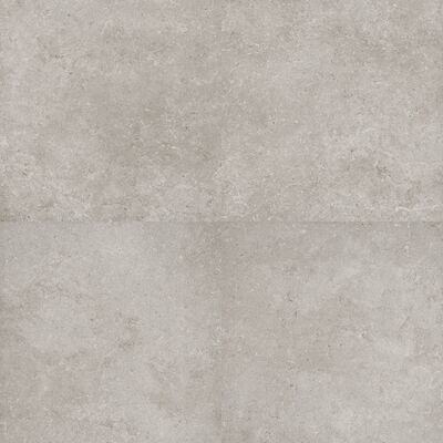 Vloertegel Flaminia Oregon Silver 60×60 cm Gerectificeerd (Doosinhoud 1.08 m2)