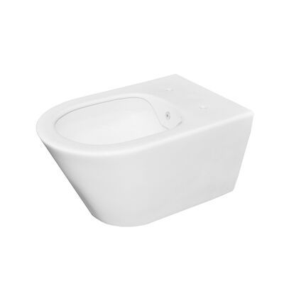 Wandcloset BWS Randloos 53 cm Met Bidet-functie Mat Wit