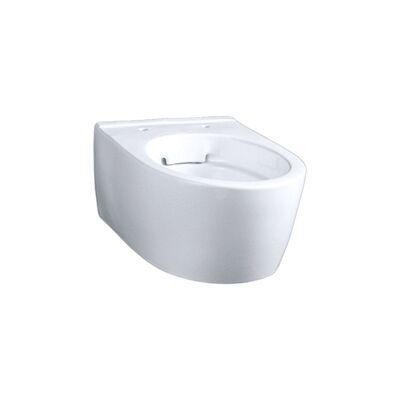 Wandcloset Geberit iCon Compact | Randloos | Wit