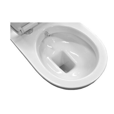 Wandcloset Sanicare Met Geïntegreerde Bidetspoeler Keramiek 53,5×36 cm Wit (Zitting optioneel)